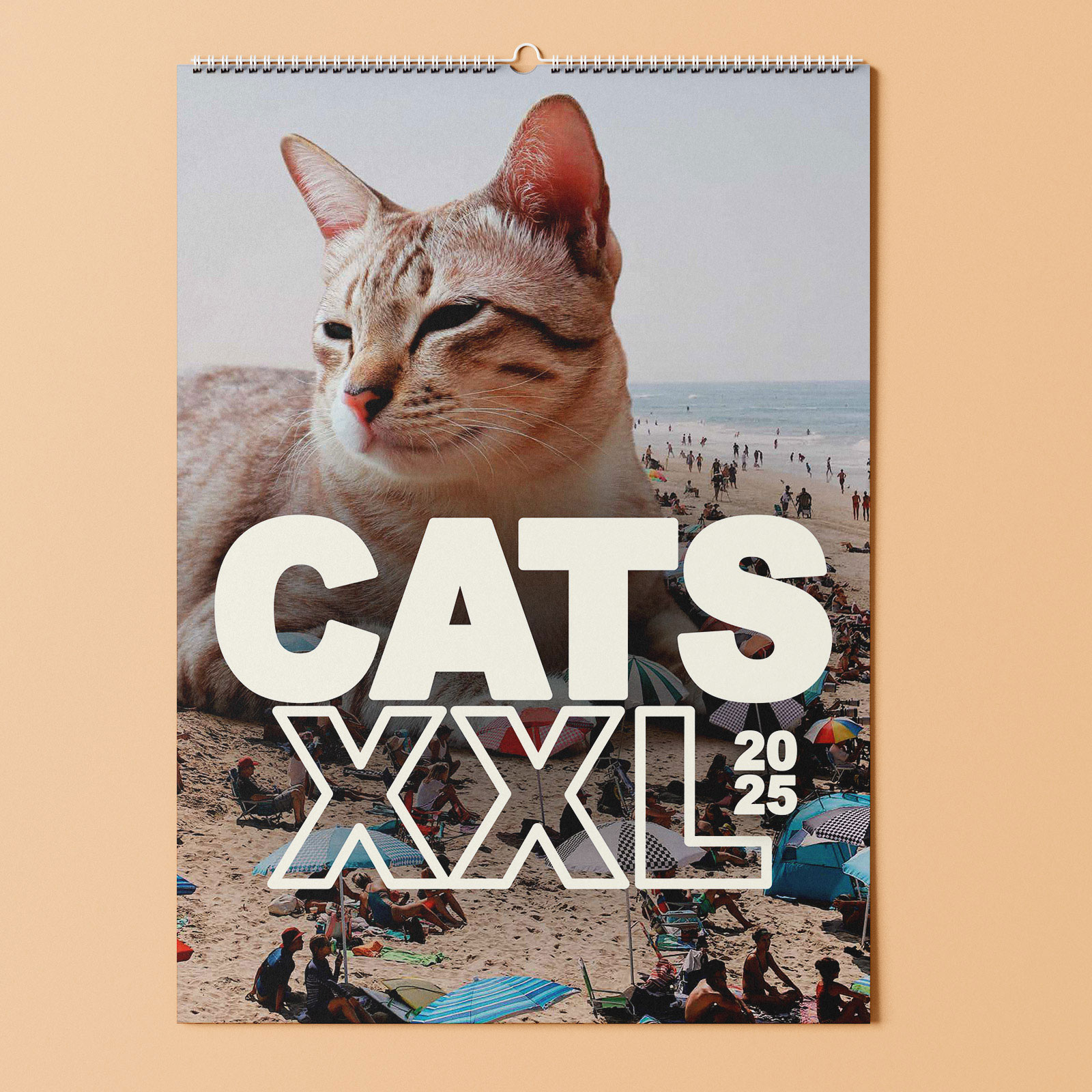 CATS XXL Teaser
