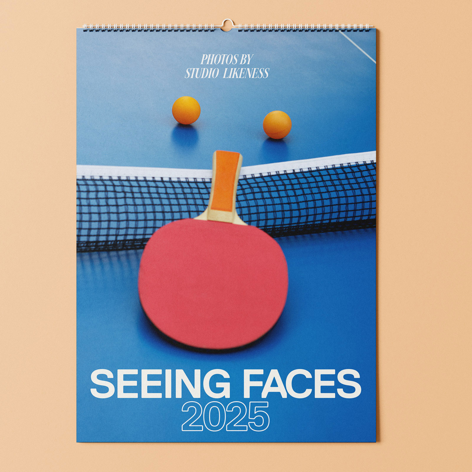 Seeing Faces Teaser